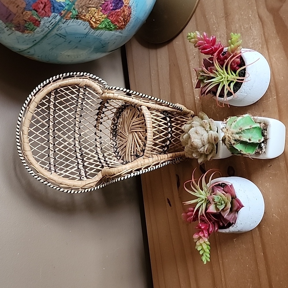 Mini Wicker Peacock Chair with 4 Succulent Pots